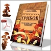The Lost Vikings (RUS/PC/RePack on NavigatorX63)